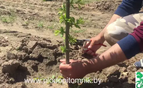 Превью видео