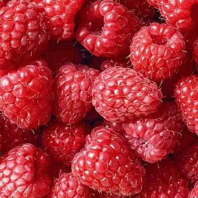 Летняя  Летняя в Великом Новгороде