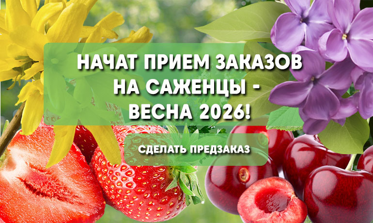 Открыт приём заказов на сезон весна 2026