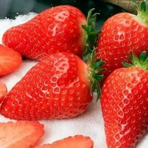 Клубника АЛЬБА в Великом Новгороде